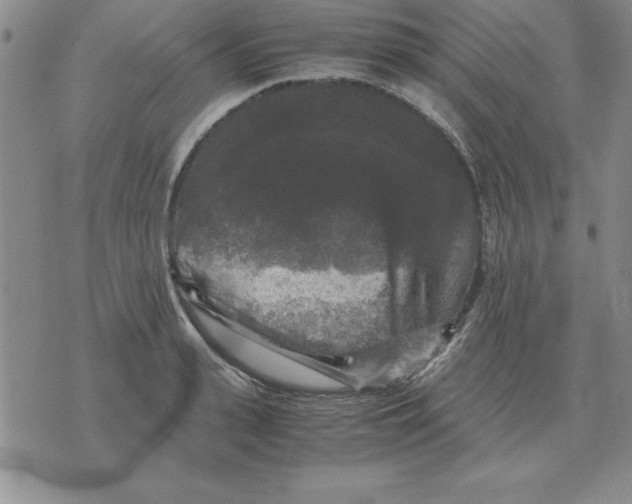 X0000071760943200607282144