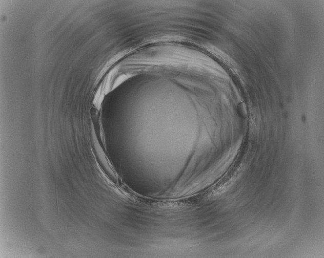 X0000071760945200607282144