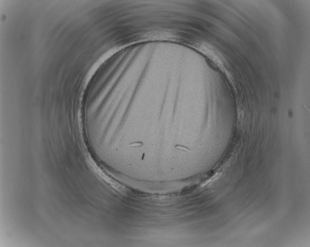 X0000071760947200607282144