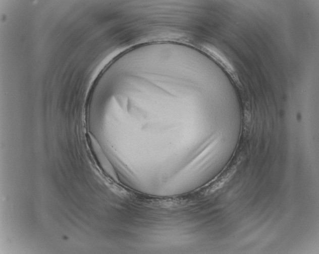 X0000071760948200607282144