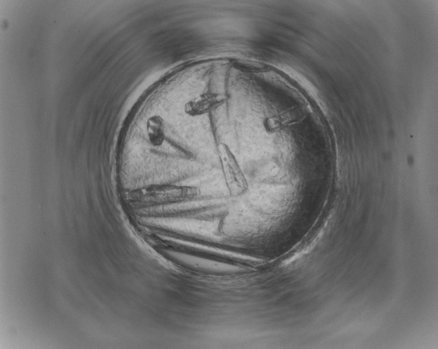 X0000071760949200607282144