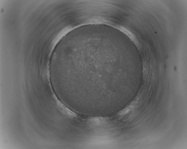 X0000071760950200607282144