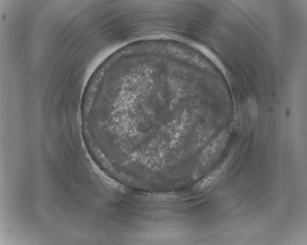 X0000071760951200607282144