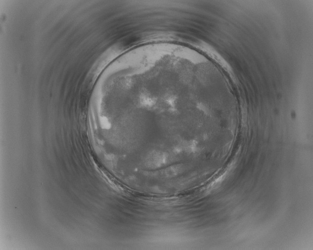 X0000071760953200607282144