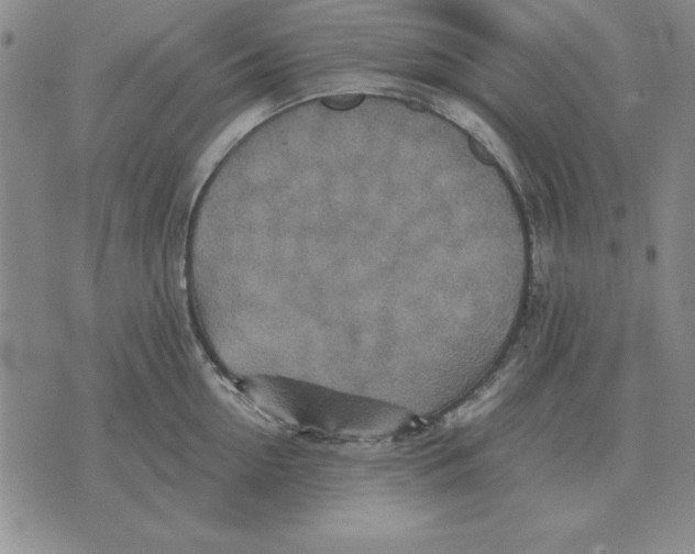 X0000071760954200607282144