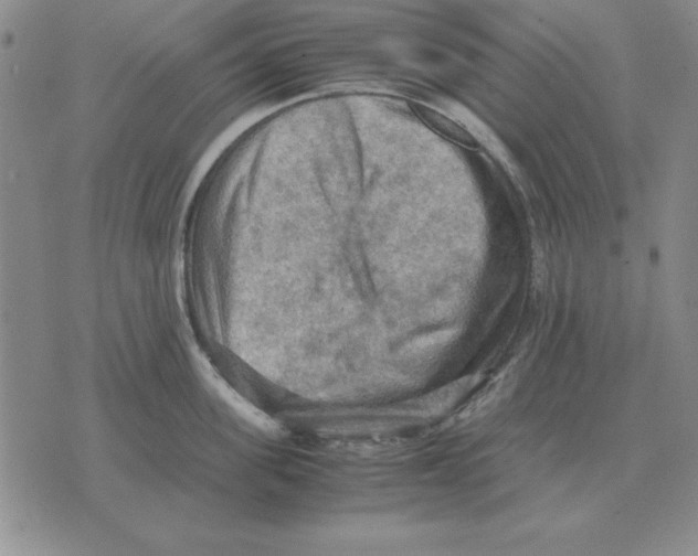 X0000071760955200607282144