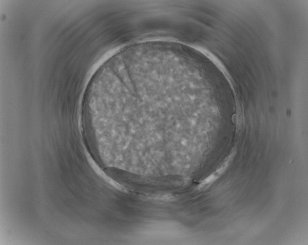 X0000071760957200607282144