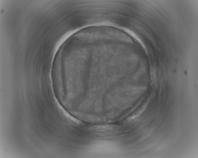 X0000071760959200607282144