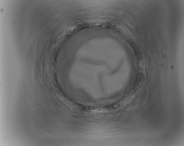 X0000071760961200607282144