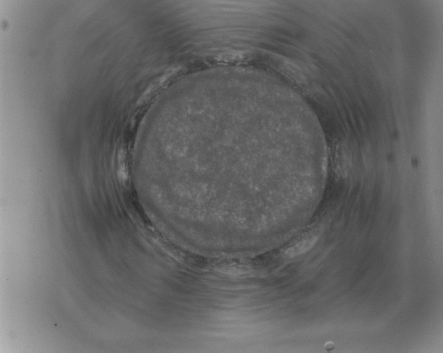 X0000071760962200607282144