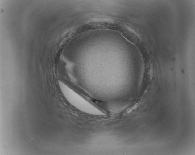 X0000071760965200607282144