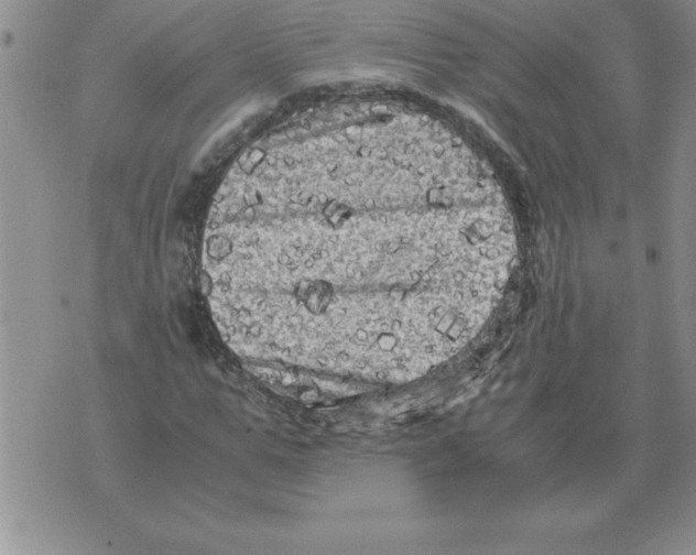 X0000071760967200607282144