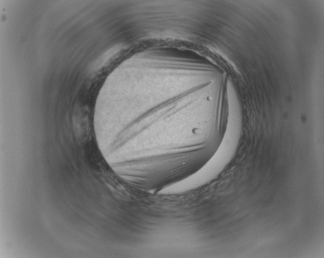 X0000071760968200607282144