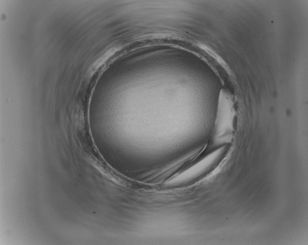 X0000071760969200607282144