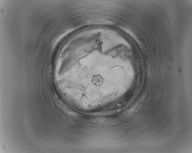 X0000071760971200607282143