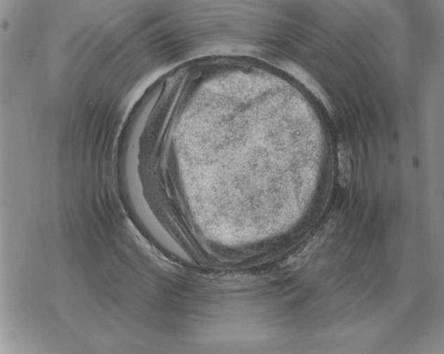 X0000071760972200607282143