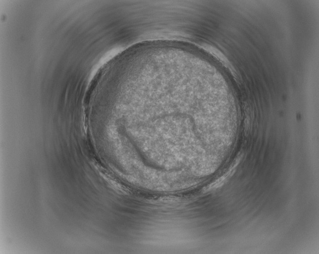 X0000071760974200607282143