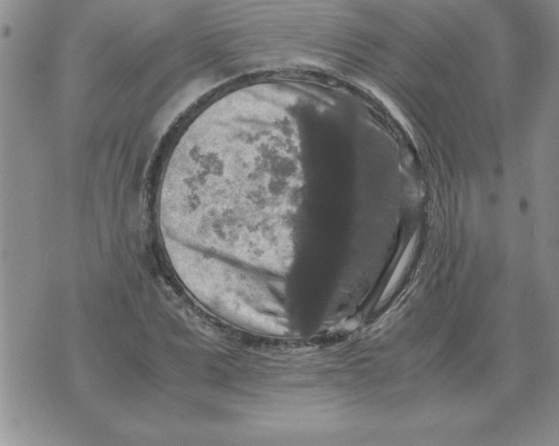 X0000071760975200607282143