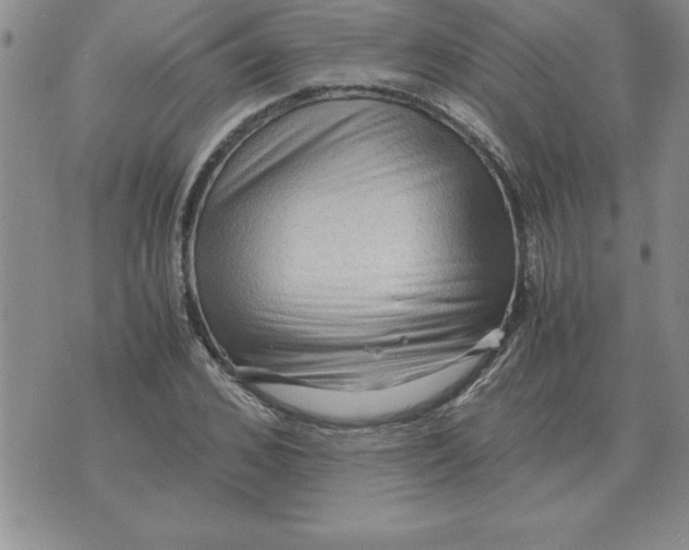 X0000071760976200607282143