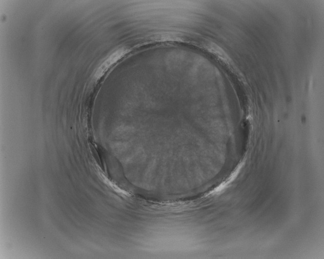 X0000071760977200607282143