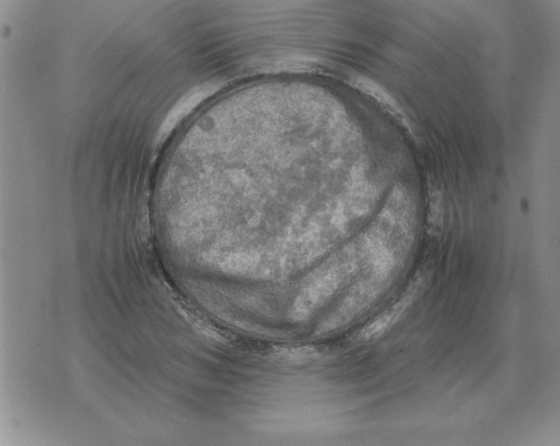 X0000071760978200607282143