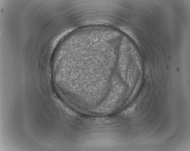 X0000071760979200607282143