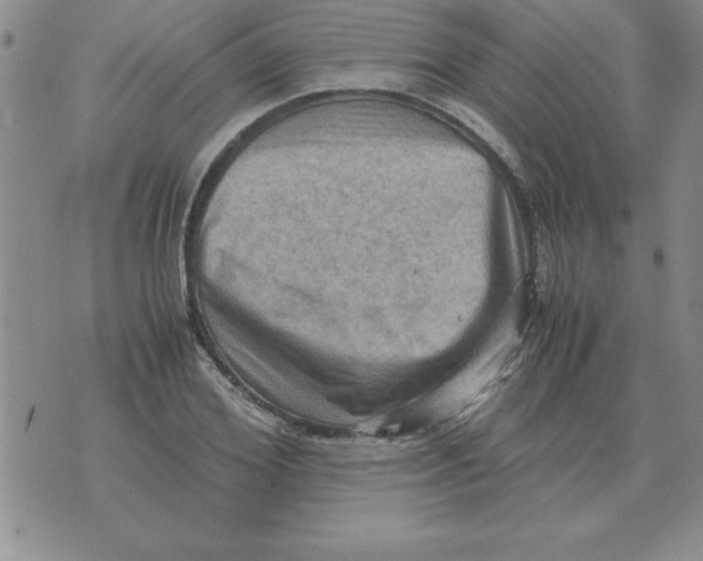 X0000071760980200607282143