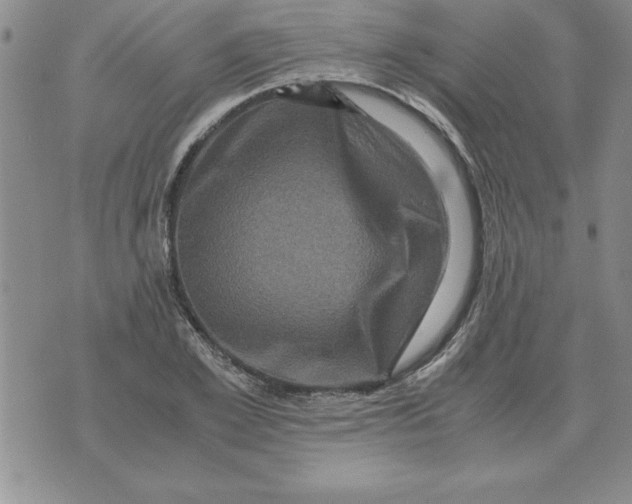 X0000071760981200607282143