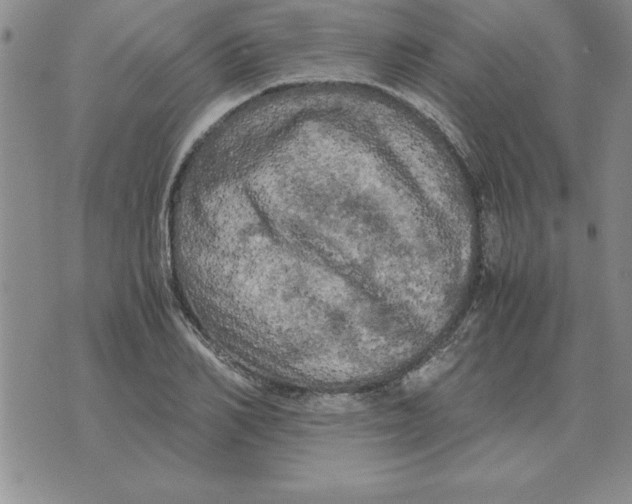 X0000071760982200607282143