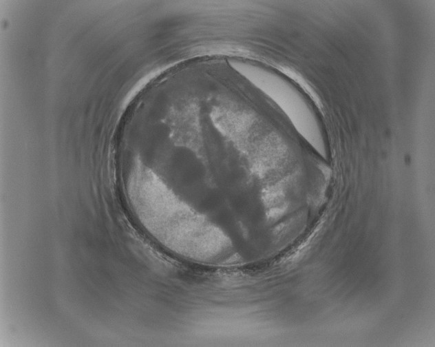 X0000071760983200607282143