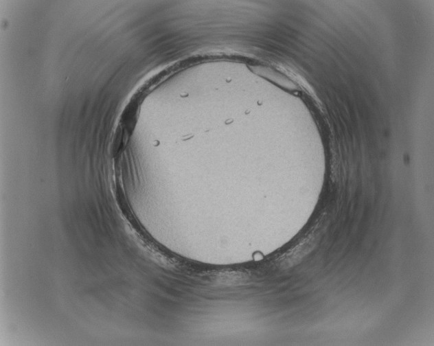 X0000071760984200607282143