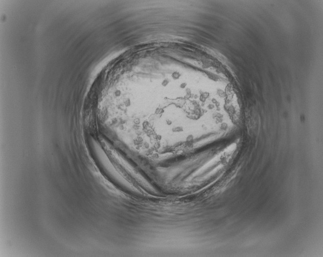 X0000071760987200607282143