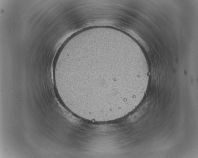 X0000071760988200607282143