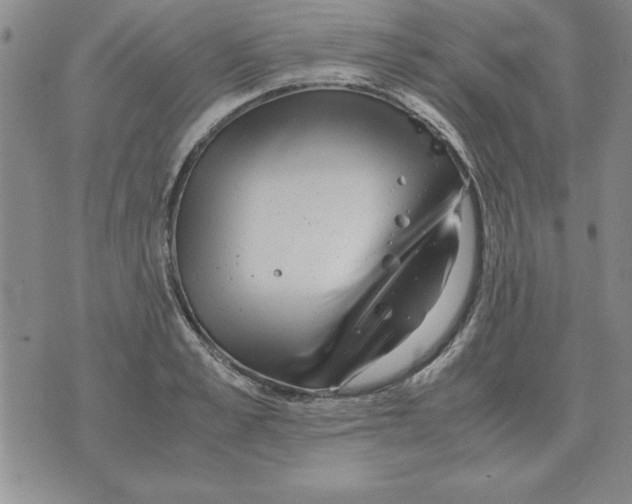 X0000071760989200607282143