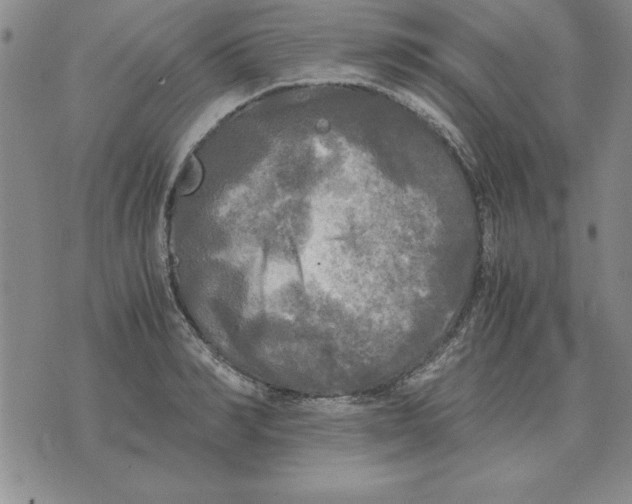 X0000071760990200607282143