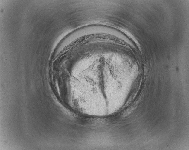 X0000071760991200607282143