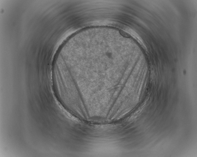 X0000071760992200607282143