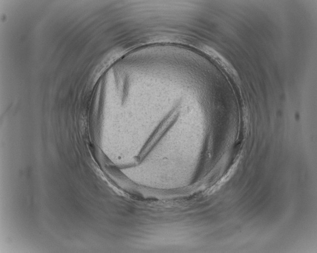 X0000071760993200607282143