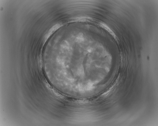 X0000071760994200607282143