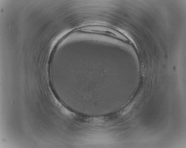 X0000071760995200607282143