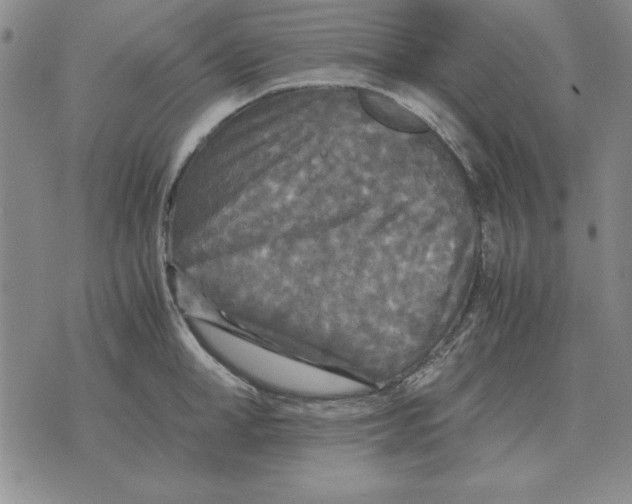 X0000071760998200607282143