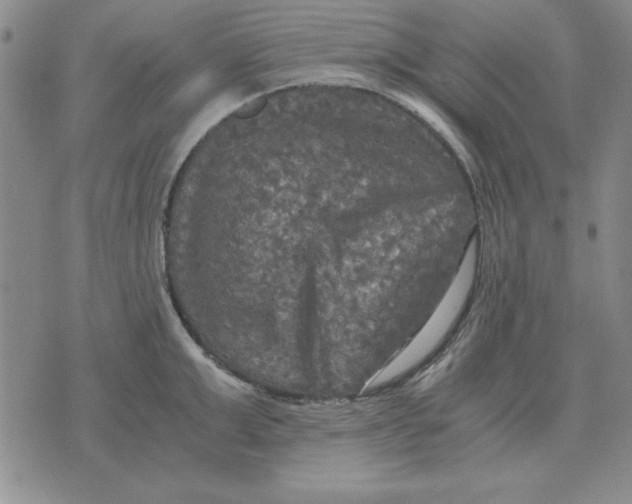 X0000071760999200607282143