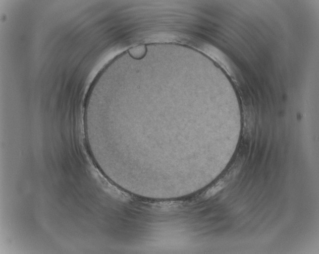 X0000071761000200607282143