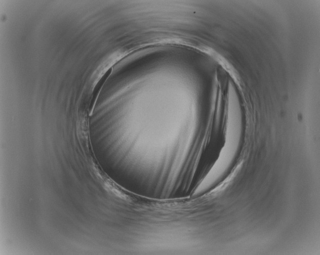 X0000071761001200607282143