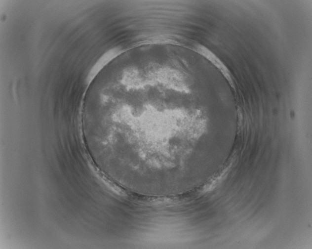 X0000071761002200607282143