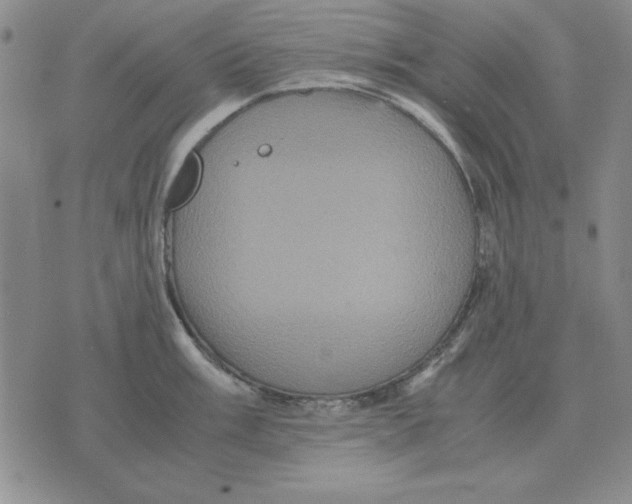 X0000071761003200607282143