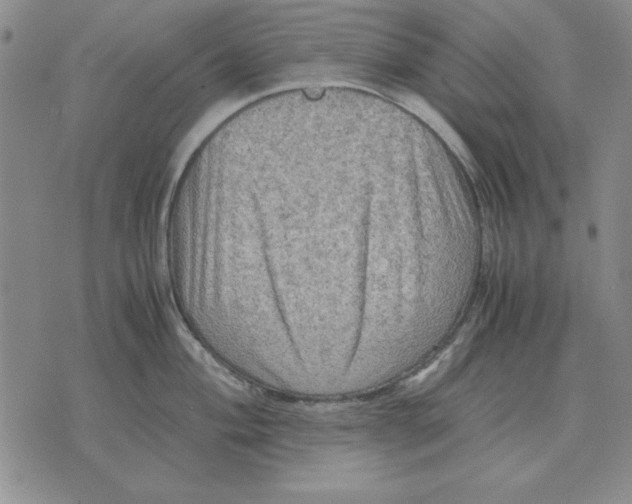 X0000071761004200607282143