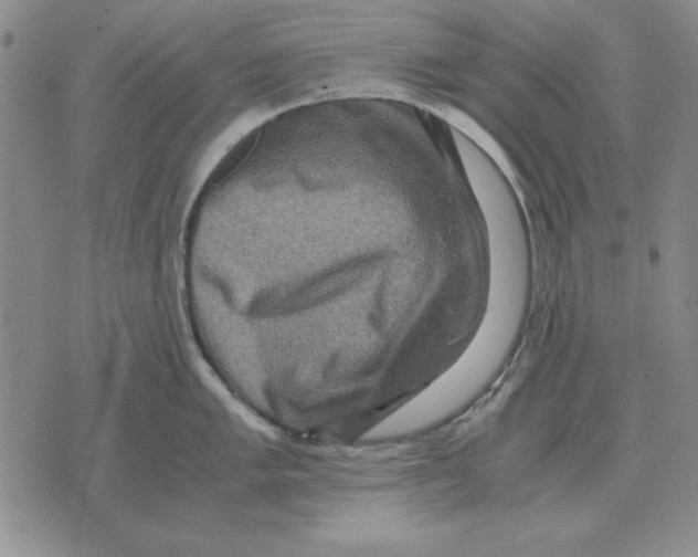 X0000071761005200607282143