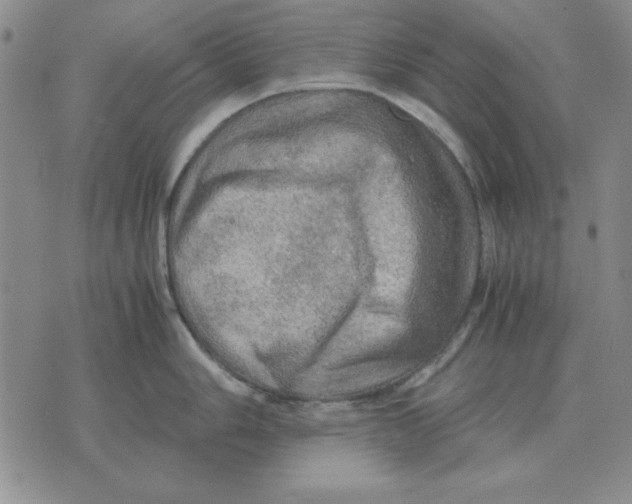 X0000071761006200607282143