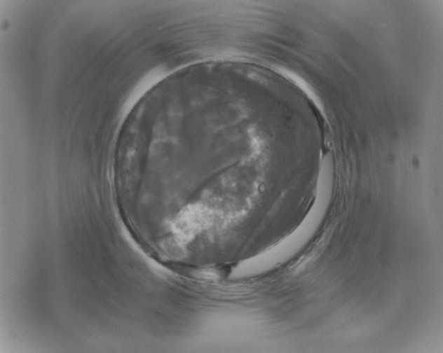 X0000071761007200607282143